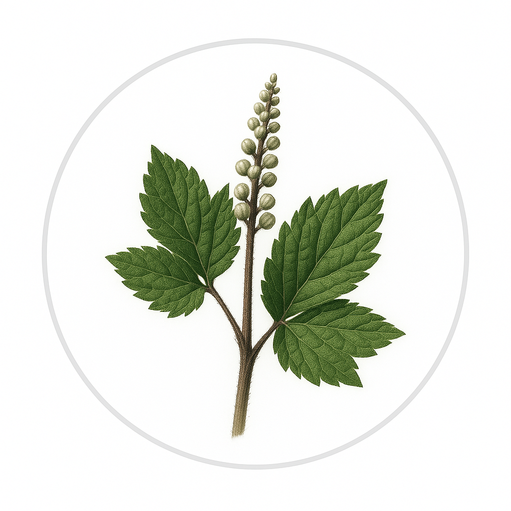 Black Cohosh