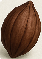 Cacao